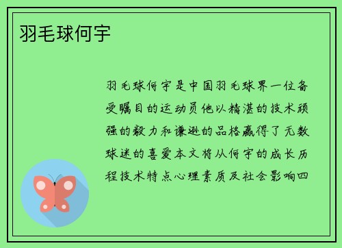羽毛球何宇