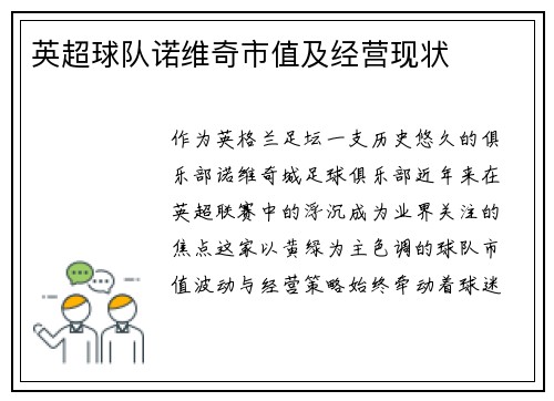 英超球队诺维奇市值及经营现状